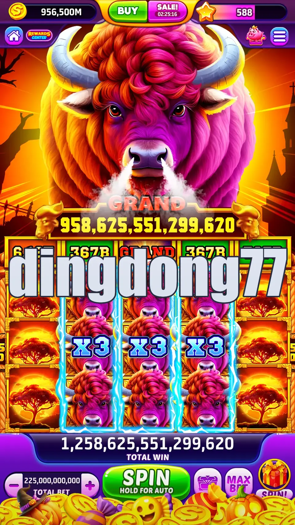 dingdong77 APK